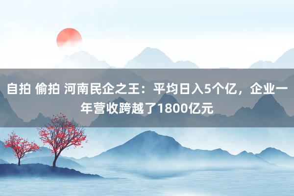 自拍 偷拍 河南民企之王：平均日入5个亿，企业一年营收跨越了1800亿元