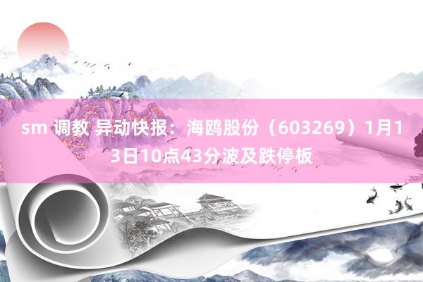 sm 调教 异动快报：海鸥股份（603269）1月13日10点43分波及跌停板