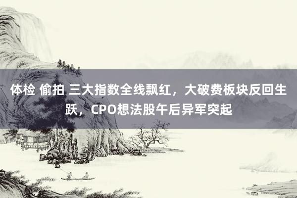 体检 偷拍 三大指数全线飘红，大破费板块反回生跃，CPO想法股午后异军突起
