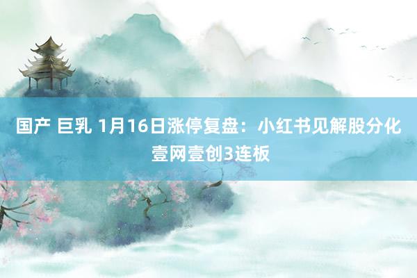 国产 巨乳 1月16日涨停复盘：小红书见解股分化 壹网壹创3连板