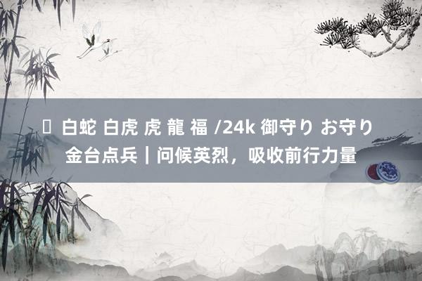 ✨白蛇 白虎 虎 龍 福 /24k 御守り お守り 金台点兵｜问候英烈，吸收前行力量