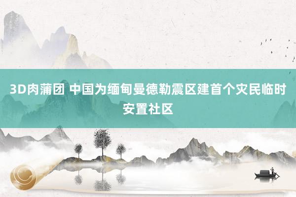 3D肉蒲团 中国为缅甸曼德勒震区建首个灾民临时安置社区