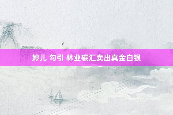 婷儿 勾引 林业碳汇卖出真金白银