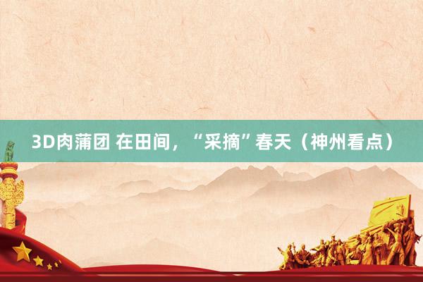 3D肉蒲团 在田间，“采摘”春天（神州看点）