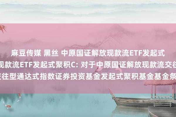 麻豆传媒 黑丝 中原国证解放现款流ETF发起式聚积A,中原国证解放现款流ETF发起式聚积C: 对于中原国证解放现款流交往型通达式指数证券投资基金发起式聚积基金基金条约及招募诠释书教导性公告