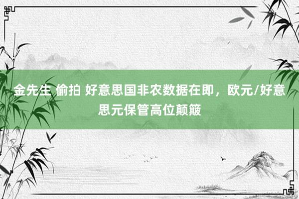 金先生 偷拍 好意思国非农数据在即，欧元/好意思元保管高位颠簸