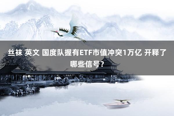 丝袜 英文 国度队握有ETF市值冲突1万亿 开释了哪些信号？