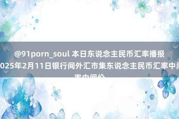 @91porn_soul 本日东说念主民币汇率播报：2025年2月11日银行间外汇市集东说念主民币汇率中间价