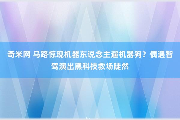 奇米网 马路惊现机器东说念主遛机器狗？偶遇智驾演出黑科技救场陡然