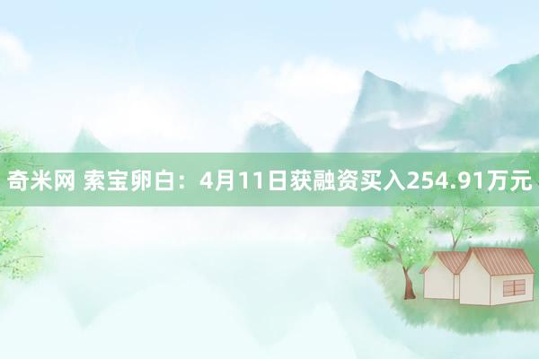 奇米网 索宝卵白：4月11日获融资买入254.91万元