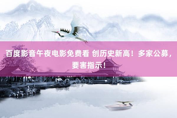 百度影音午夜电影免费看 创历史新高！多家公募，要害指示！