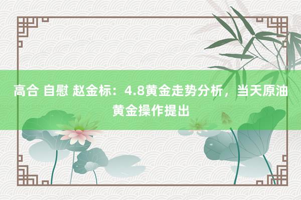 高合 自慰 赵金标：4.8黄金走势分析，当天原油黄金操作提出