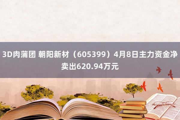 3D肉蒲团 朝阳新材（605399）4月8日主力资金净卖出620.94万元