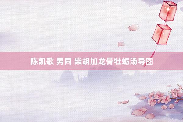 陈凯歌 男同 柴胡加龙骨牡蛎汤导图