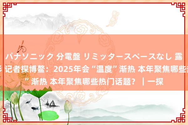 パナソニック 分電盤 リミッタースペースなし 露出・半埋込両用形 记者探博鳌：2025年会“温度”渐热 本年聚焦哪些热门话题？｜一探