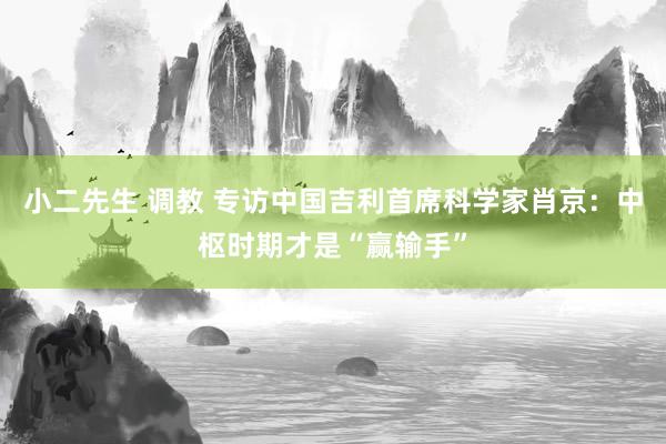 小二先生 调教 专访中国吉利首席科学家肖京：中枢时期才是“赢输手”